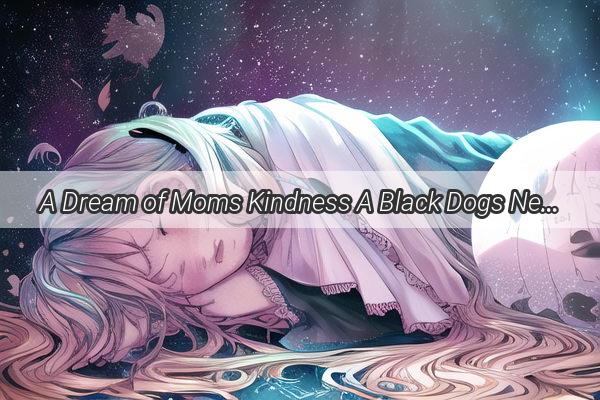 A Dream of Moms Kindness A Black Dogs New Home Unfurls in a Familys Dream